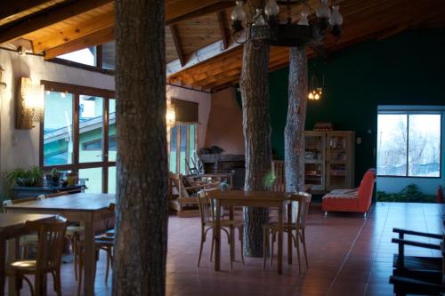 boutique hotels in Magallanes