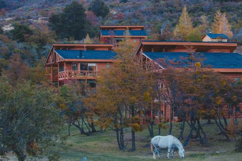 boutique hotels in Aysen