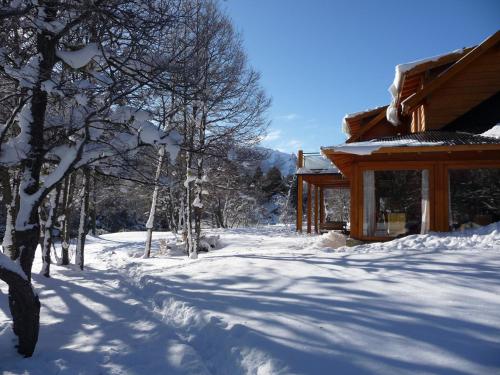 boutique hotels in Lanín National Park