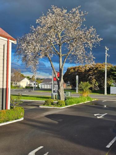 boutique hotels in Greytown