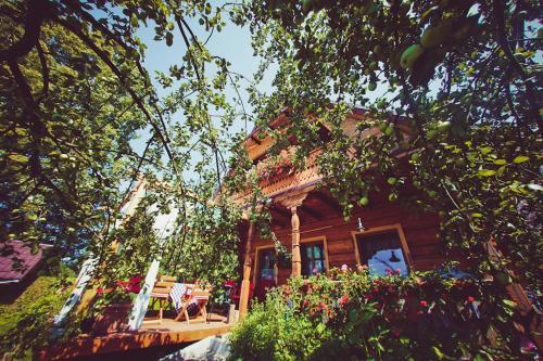 boutique hotels in Kombornia