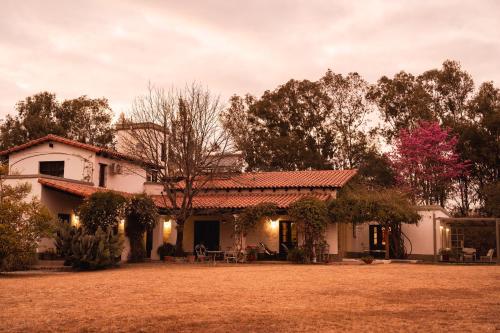 boutique hotels in Cafayate