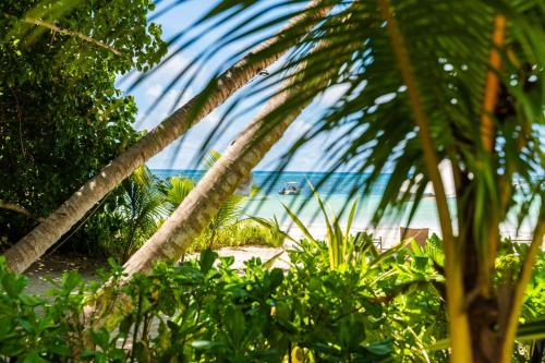 boutique hotels in La Digue