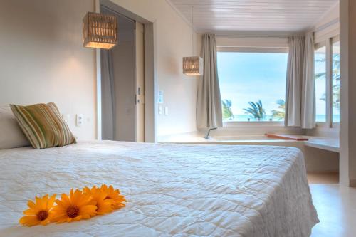 boutique hotels in Pipa