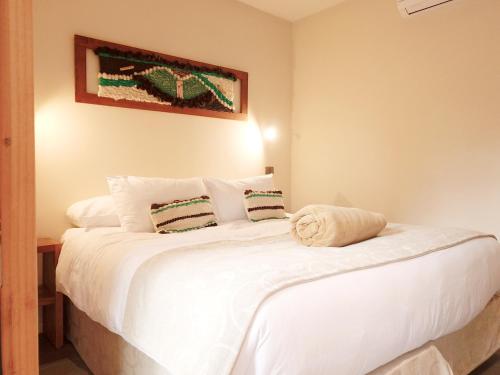 boutique hotels in Temuco