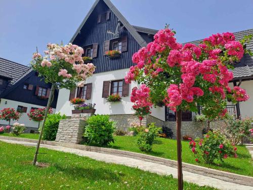 boutique hotels in Karlovac County