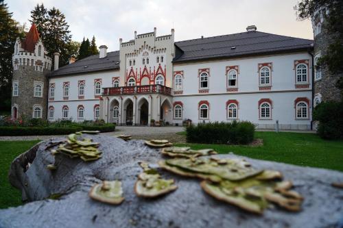 boutique hotels in Nové Město Na Moravě