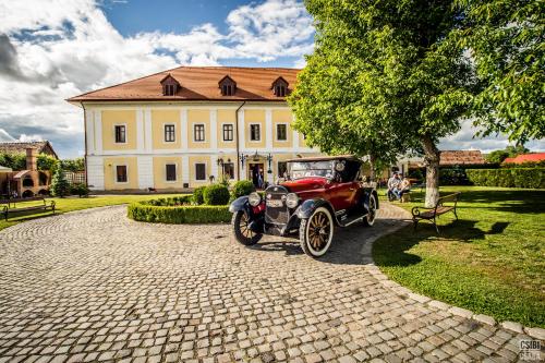 boutique hotels in Mureş