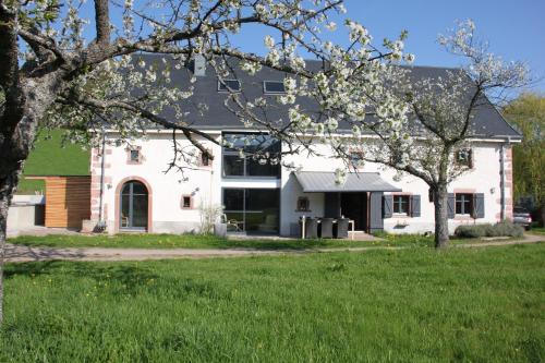 boutique hotels in Haut-Rhin