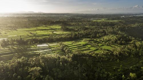 boutique hotels in Gianyar