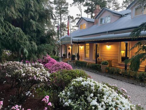 boutique hotels in Newnes