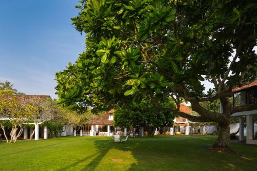 boutique hotels in Kalutara District