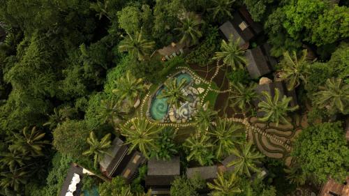 boutique hotels in Ubud