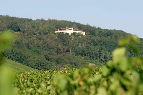 boutique hotels in Rhône