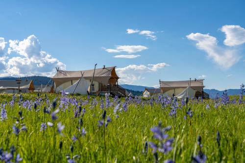 boutique hotels in Yellowstone National Park-West Gate