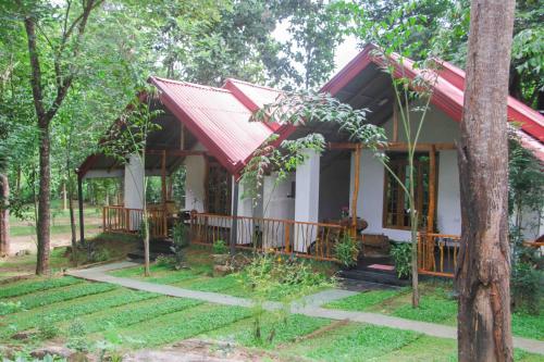 boutique hotels in Sigiriya