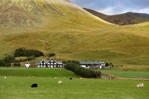 boutique hotels in Vík