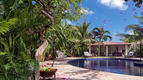 boutique hotels in Barra Grande