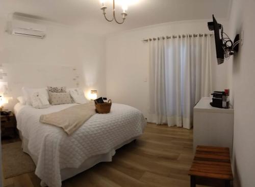 boutique hotels in Ilha Grande