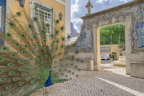 boutique hotels in Castelo