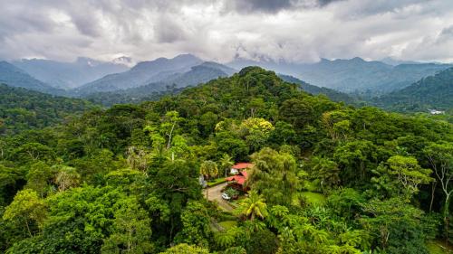 boutique hotels in Tapachula