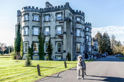 boutique hotels in Ballybunion