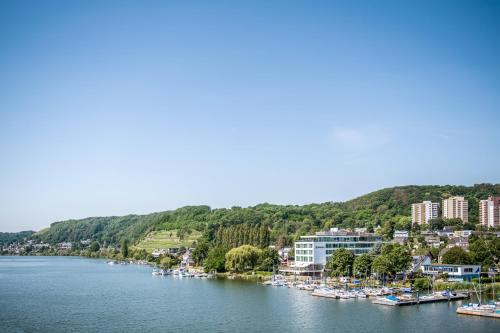 boutique hotels in Rhine Route