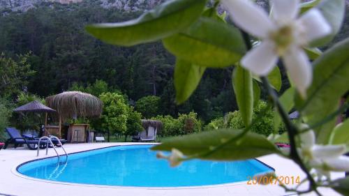 boutique hotels in Mediterranean Region Turkey