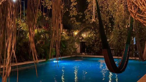 boutique hotels in Costa Maya