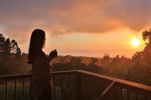 boutique hotels in Arenal Volcano National Park