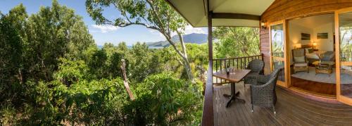 boutique hotels in Palm Cove