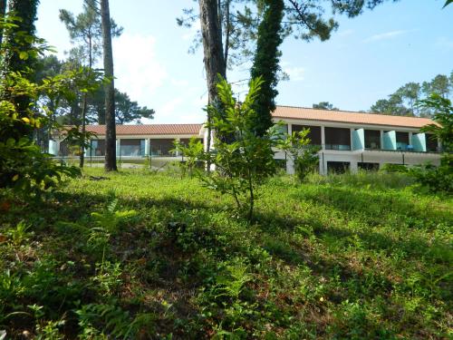 boutique hotels in Bajas Estuary