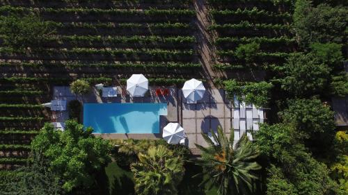 boutique hotels in Maipú