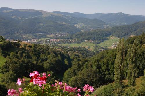 boutique hotels in Alsace