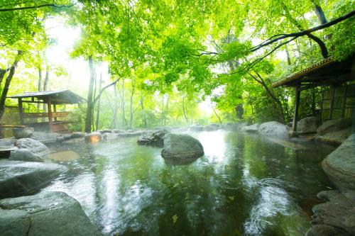 boutique hotels in Kurokawa Hot Springs