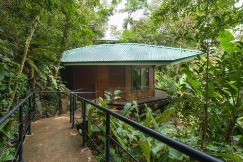 boutique hotels in Monteverde