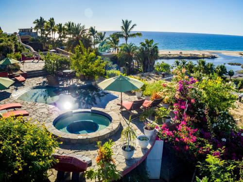 boutique hotels in Todos Santos