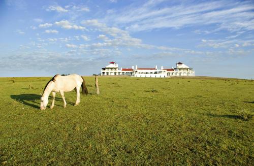 boutique hotels in Maldonado