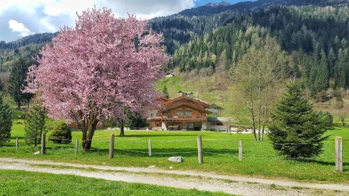 boutique hotels in Skirama Dolomiti Adamello Brenta