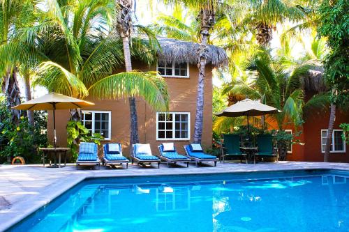 boutique hotels in Los Cabos