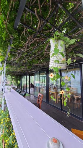 boutique hotels in Jeju Island