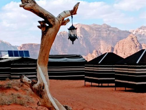 boutique hotels in Wadi Rum