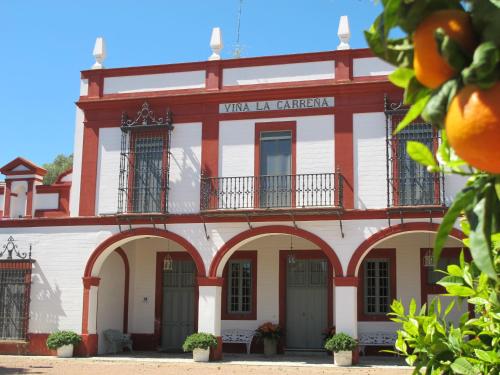 boutique hotels in Cadiz Province