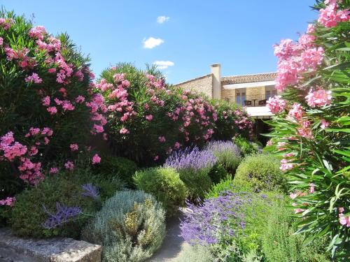 boutique hotels in Luberon