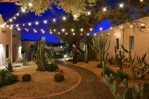 boutique hotels in Saguaro National Park