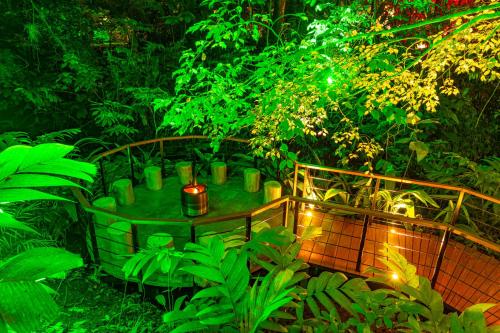 boutique hotels in Arenal Volcano National Park