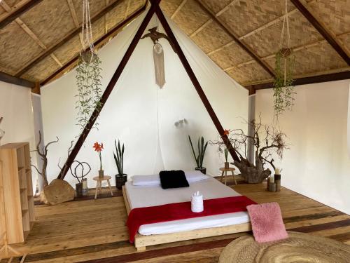 boutique hotels in Busuanga