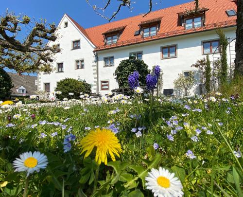 boutique hotels in Lake Constance Cycle Path