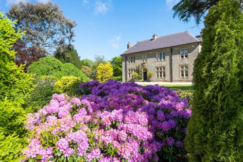 boutique hotels in Exmoor