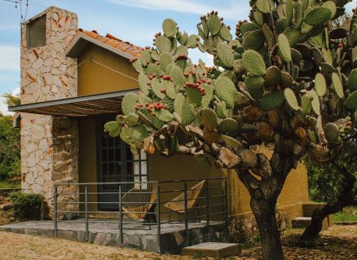 boutique hotels in Tequisquiapan